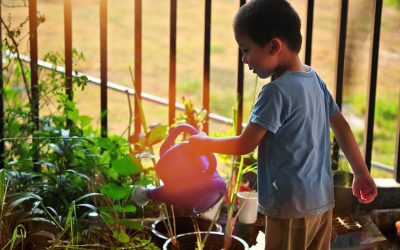 3 Ideas for Gardening With Kids